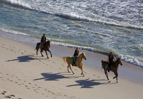 Faire une balade à cheval en Afrique du Sud