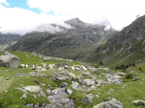 Le circuit des lacs dans la vallée du Marcadau - Parc National des Pyrénées – Niveau difficile